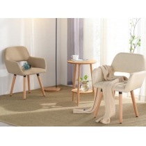 Designer Chair 餐椅(IS5160)