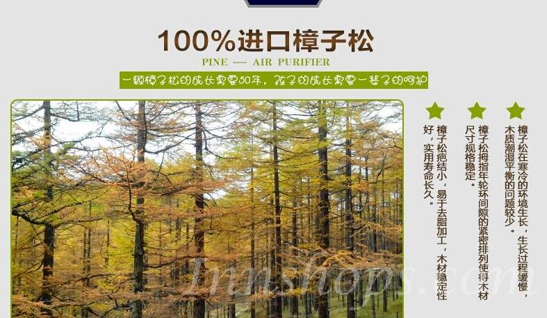 兒童皇國 松木實木子母床 小朋友床 *可訂做呎吋(不包床褥)  (IS2035)