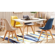 Designer Chair 餐椅 (IS1710)
