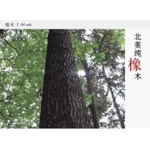 北歐實木系列 白橡木儲物書櫃(胡桃色) 100cm (IS5870)