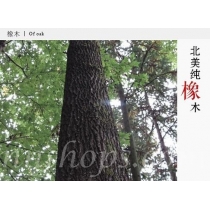 北歐實木系列 白橡木伸縮餐桌椅組合(胡桃色) (IS5874)
