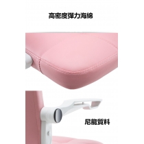 時尚系列 電腦椅 (IS7426)