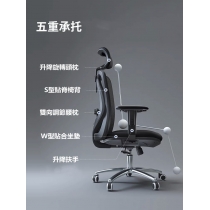 學校傢俬辦公室系列 電腦椅 (IS7488)