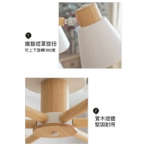 北歐簡約客廳吊燈 (IS0311)