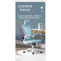 學校家具人體工學辦公椅 電腦椅 家用學生學習轉椅 宿舍靠背舒適久坐書桌椅子(IS8036)