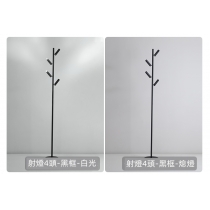 創意落地燈led現代簡約個性衣帽架客廳燈主臥室燈衣帽間燈具燈飾(IS8100)