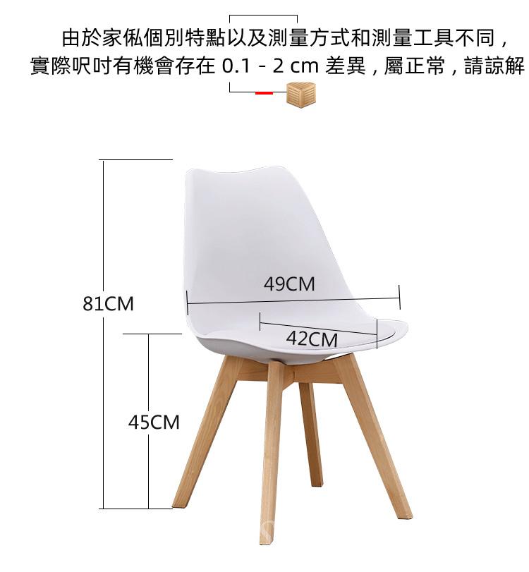 Designer Chair 餐椅 (IS1710)