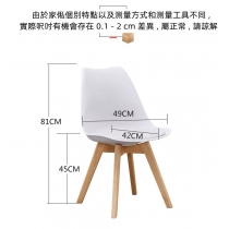 Designer Chair 餐椅 (IS1710)