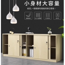 辦公室文件矮櫃 資料收納櫃帶鎖 趟門收納櫃*80cm/100cm/120cm/160cm (IS9422)